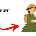 চা শ্রমিক ভাতা