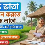 বয়স্ক ভাতা আবেদন করতে কি কি লাগে