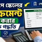 ইনক্রিমেন্ট চেক.png